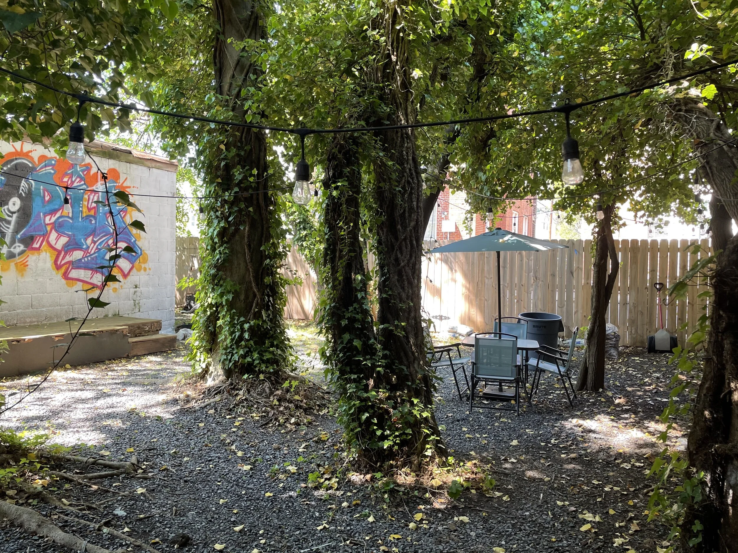Freshtopia in Norfolk, VA