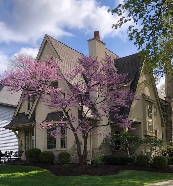 Dan Firks | Coldwell Banker Real Estate Group in Naperville, IL (4)