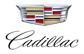 Specialty Service & Maintenance - Auto Repair Shop in Mount Vernon, New York in Mt Vernon, NY (3)