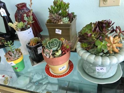 Charity's Closet in Placentia, CA (5)