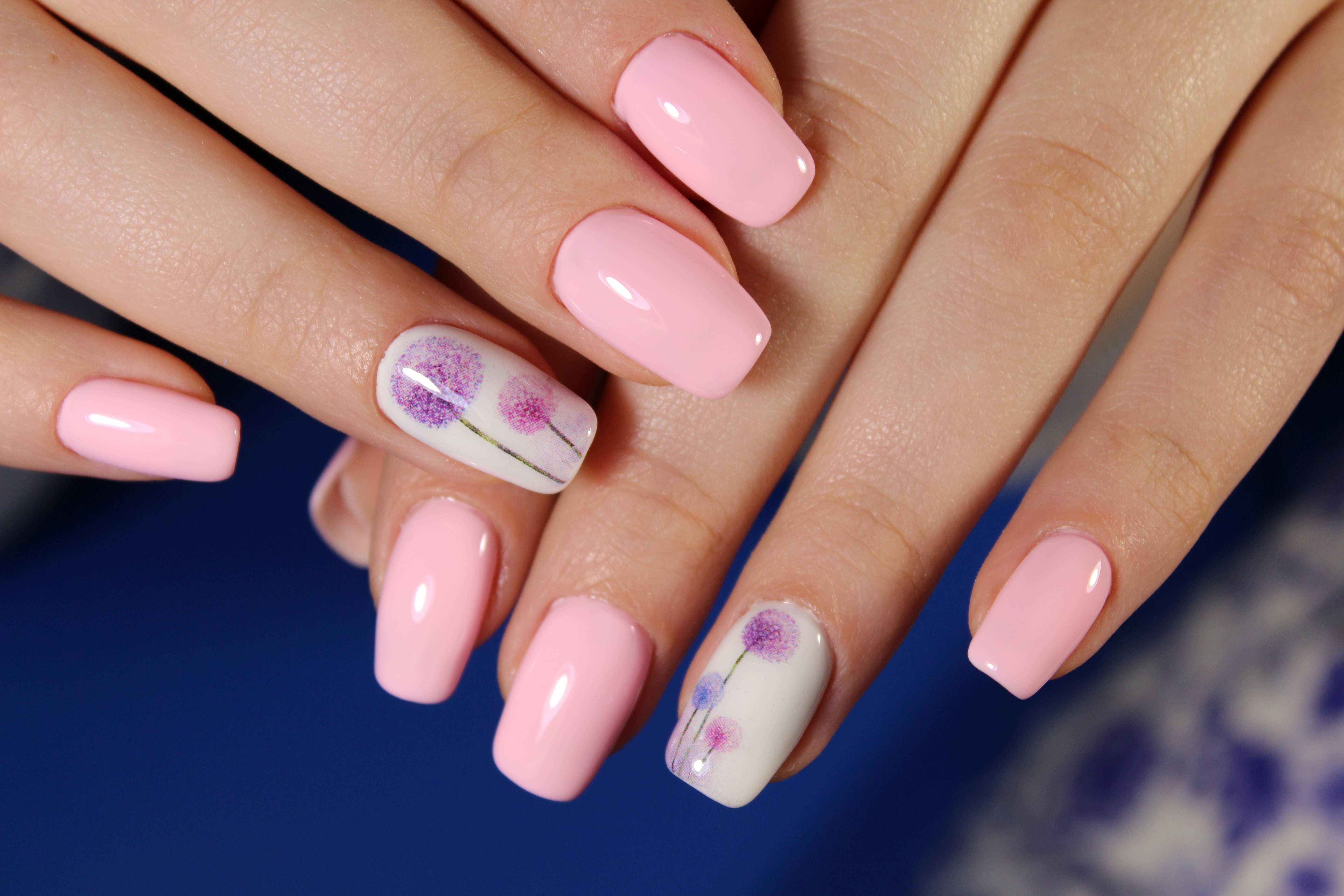 Lazy Day Nail Salon and Spa in Elyria, OH (4)