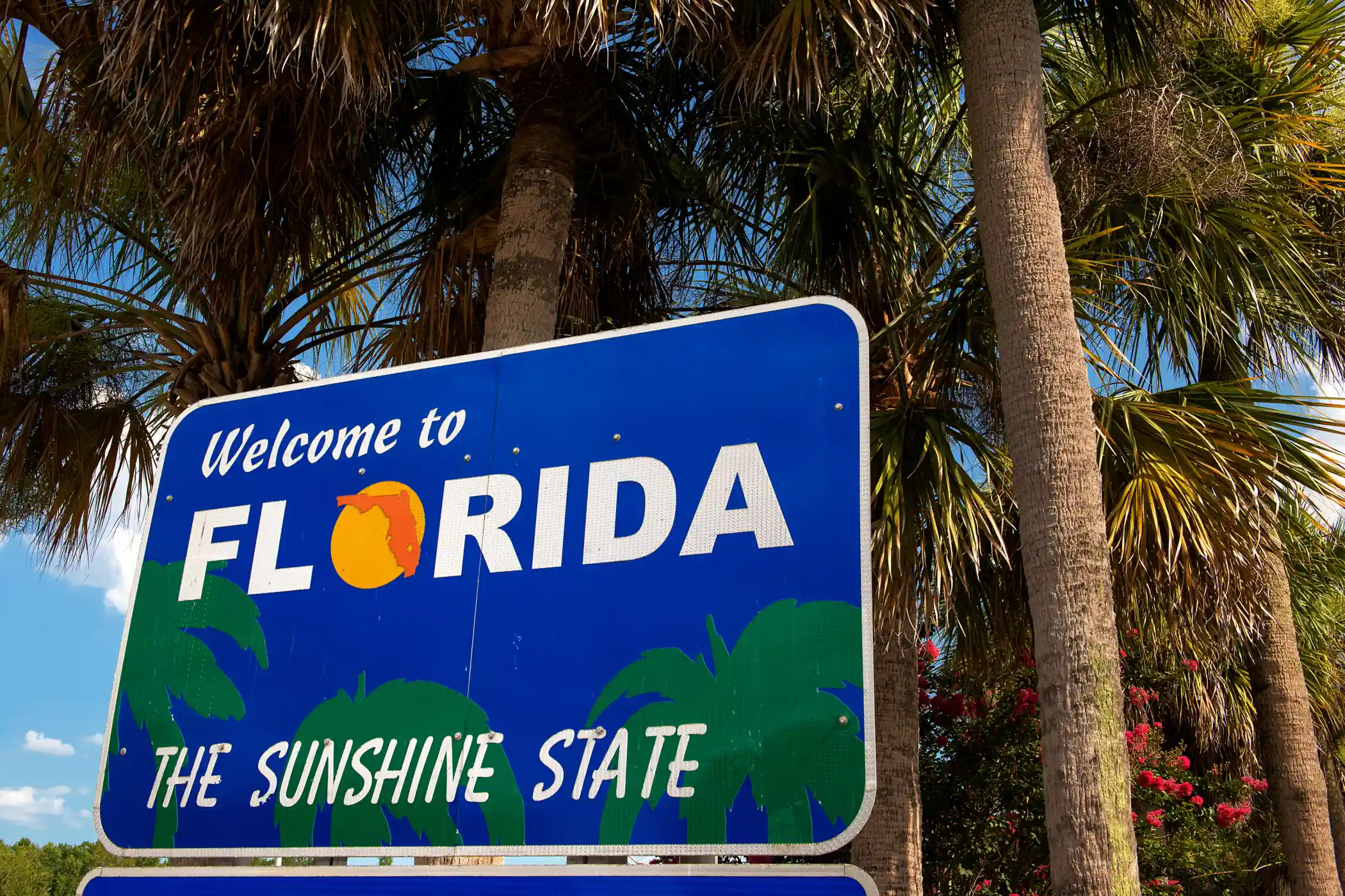 Jonathan Sena CPA in Lake Mary, FL (2)