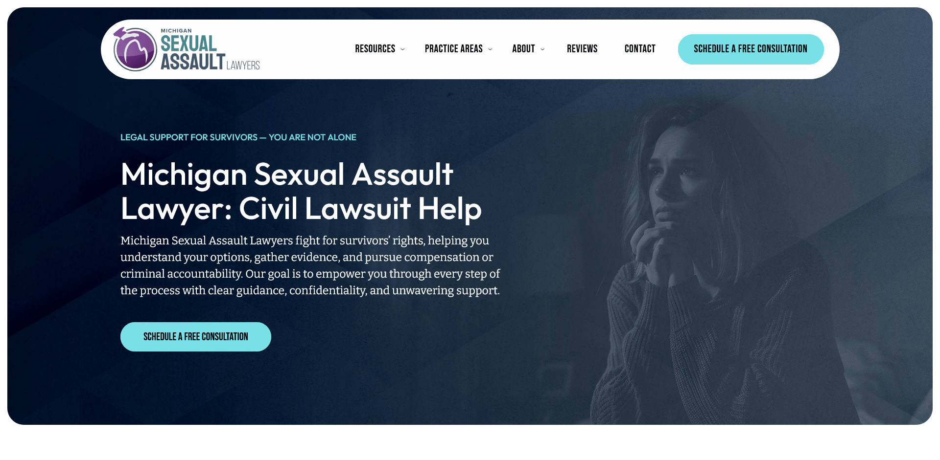 Michigan Sexual Assault Lawyers in Farmington Hills, MI (3)