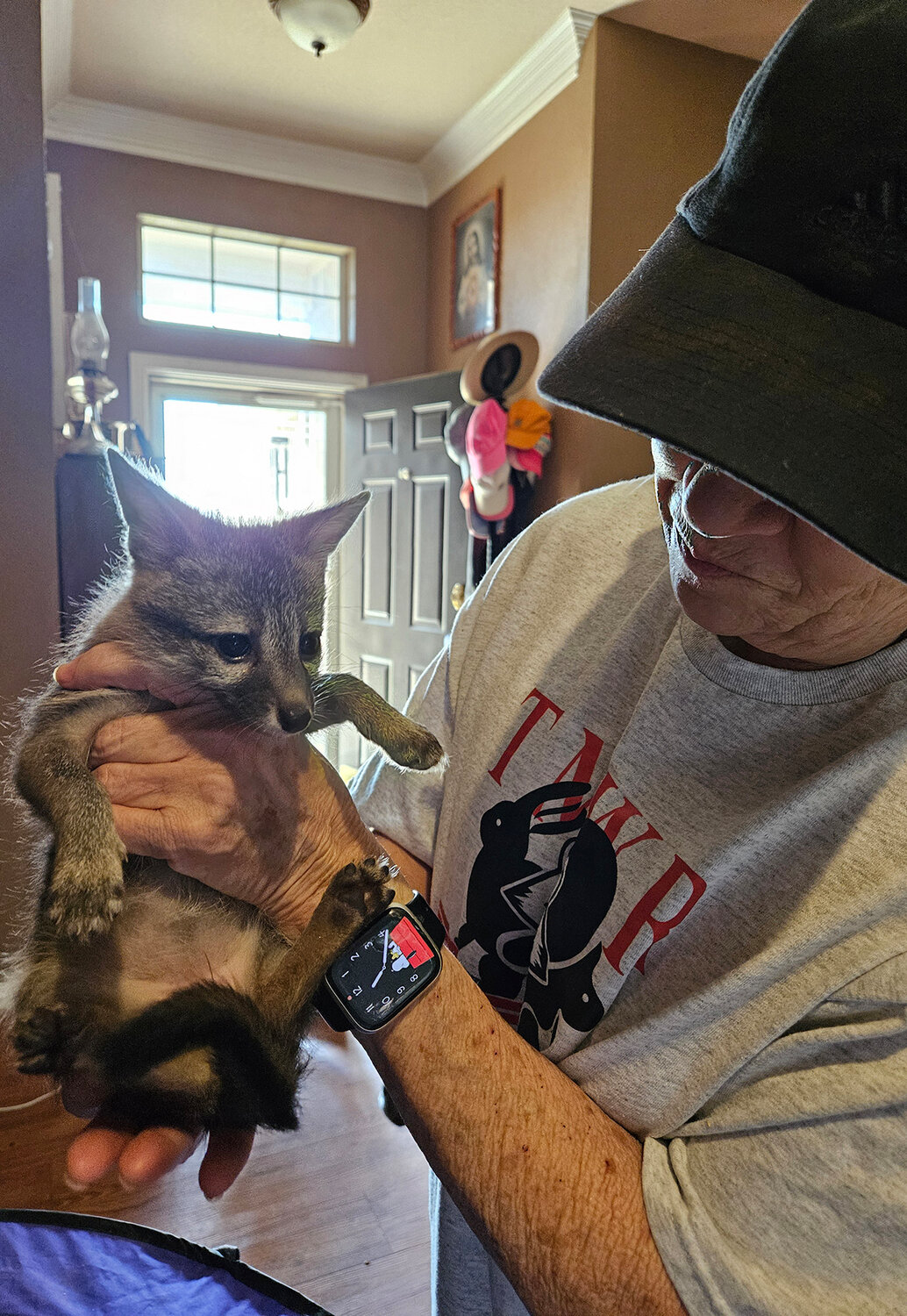 The Community News in Aledo, TX (4)