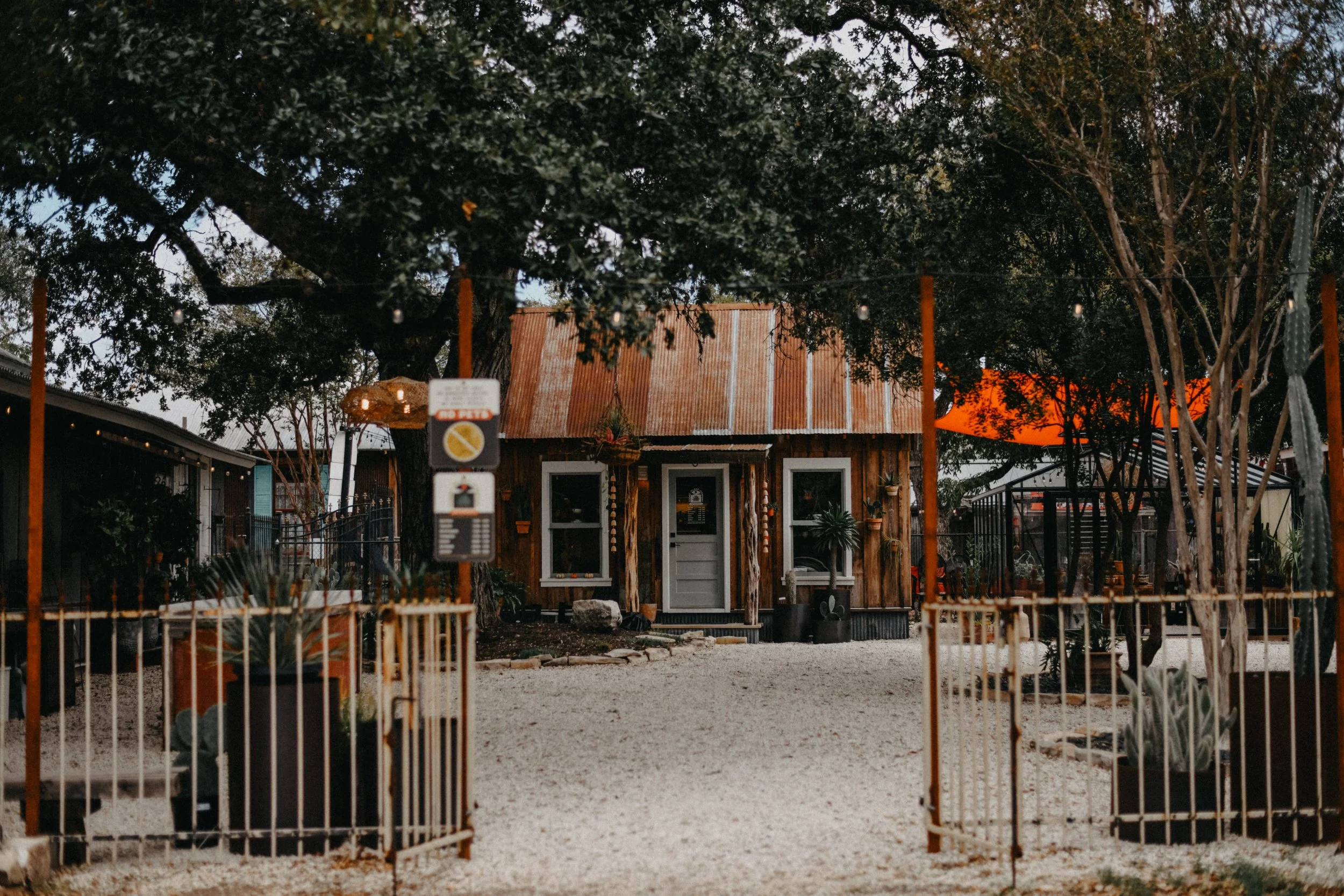 Cosmic Plant Company in New Braunfels, TX (4)