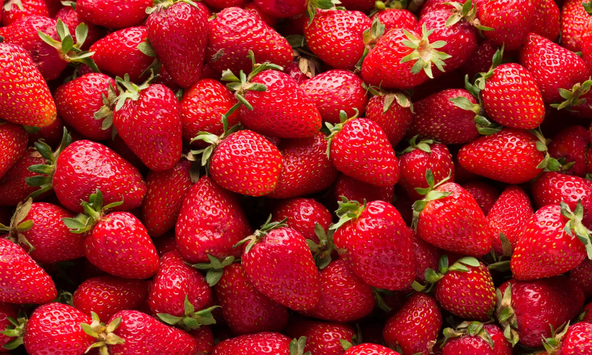 Mason Farms Country Market in Erie, PA