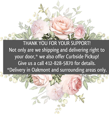 Oakmont Skin Care & Electrolysis LLC in Oakmont, PA (2)