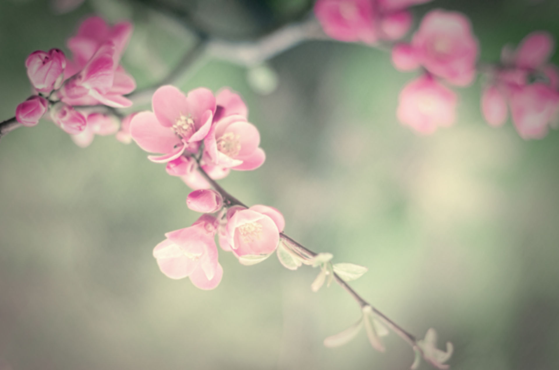 Oakmont Skin Care & Electrolysis LLC in Oakmont, PA (4)