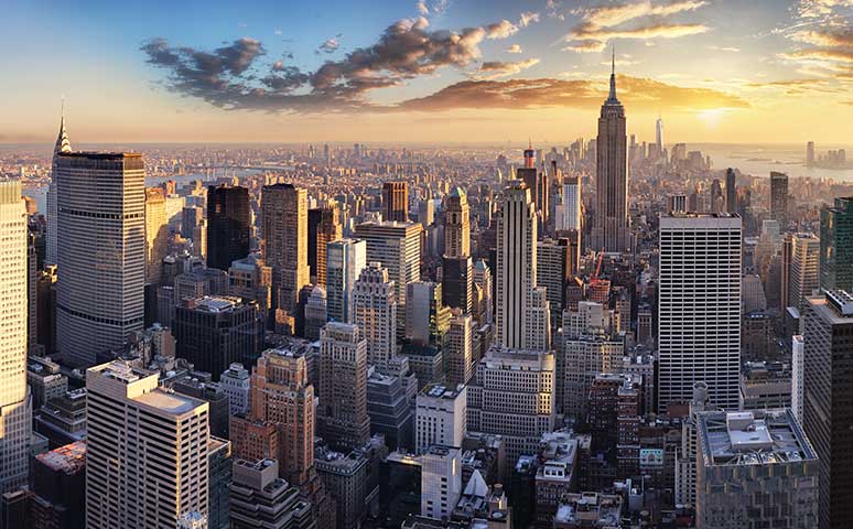 Brian Phillips, CRS at Douglas Elliman in New York, NY (3)