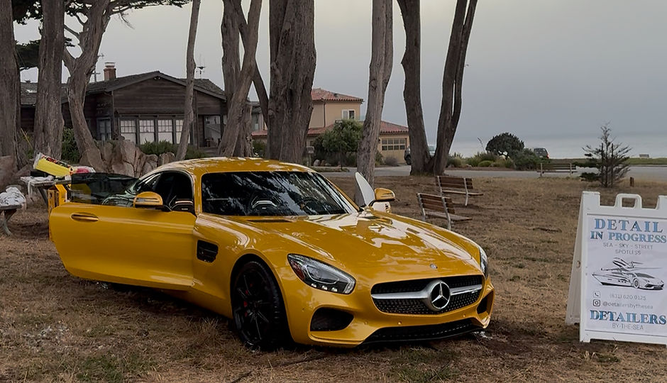 Detailers by the Sea in Spreckels, CA (4)