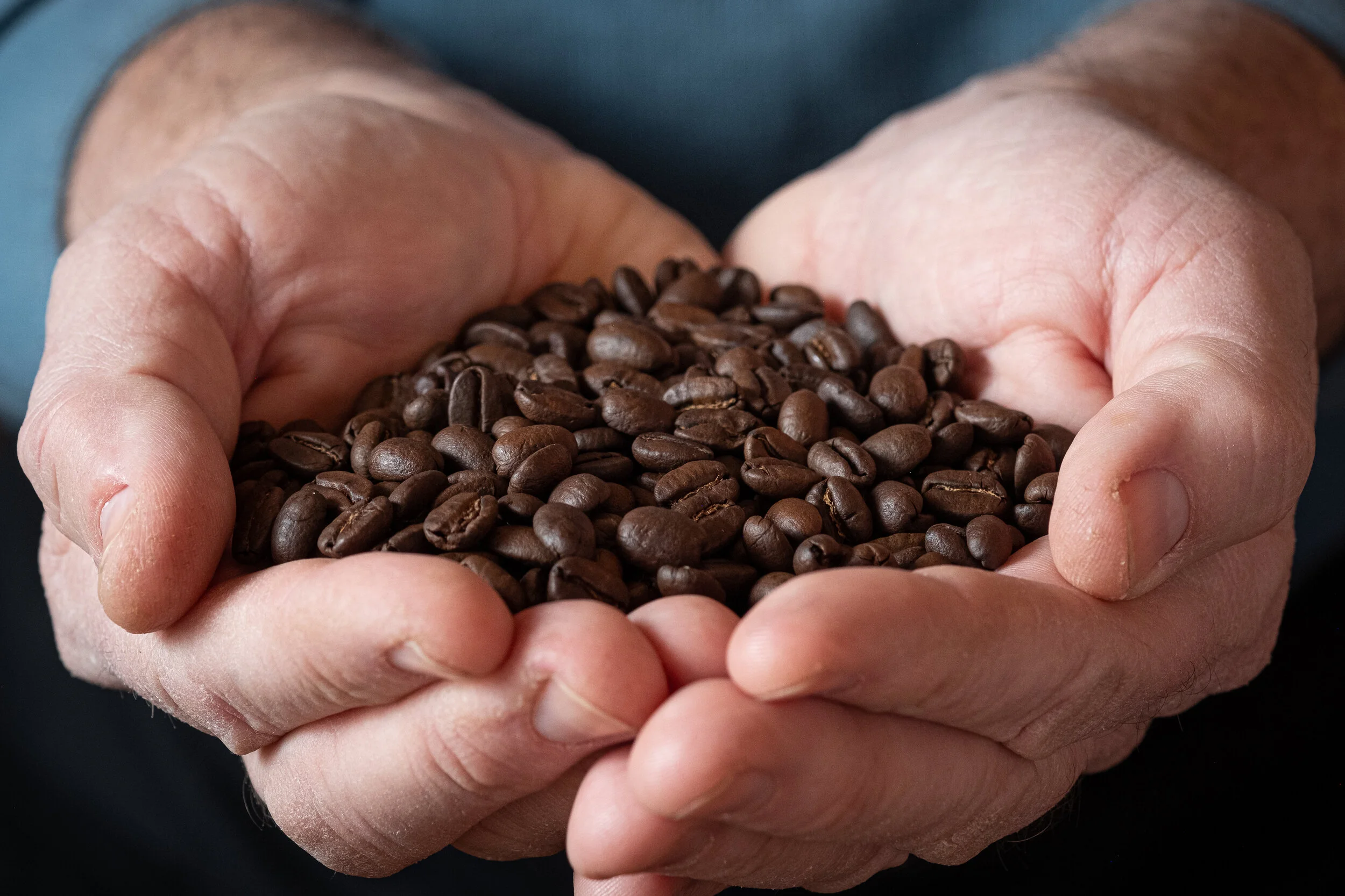 Alchemy Coffee & Bake House in Wilmette, IL (3)