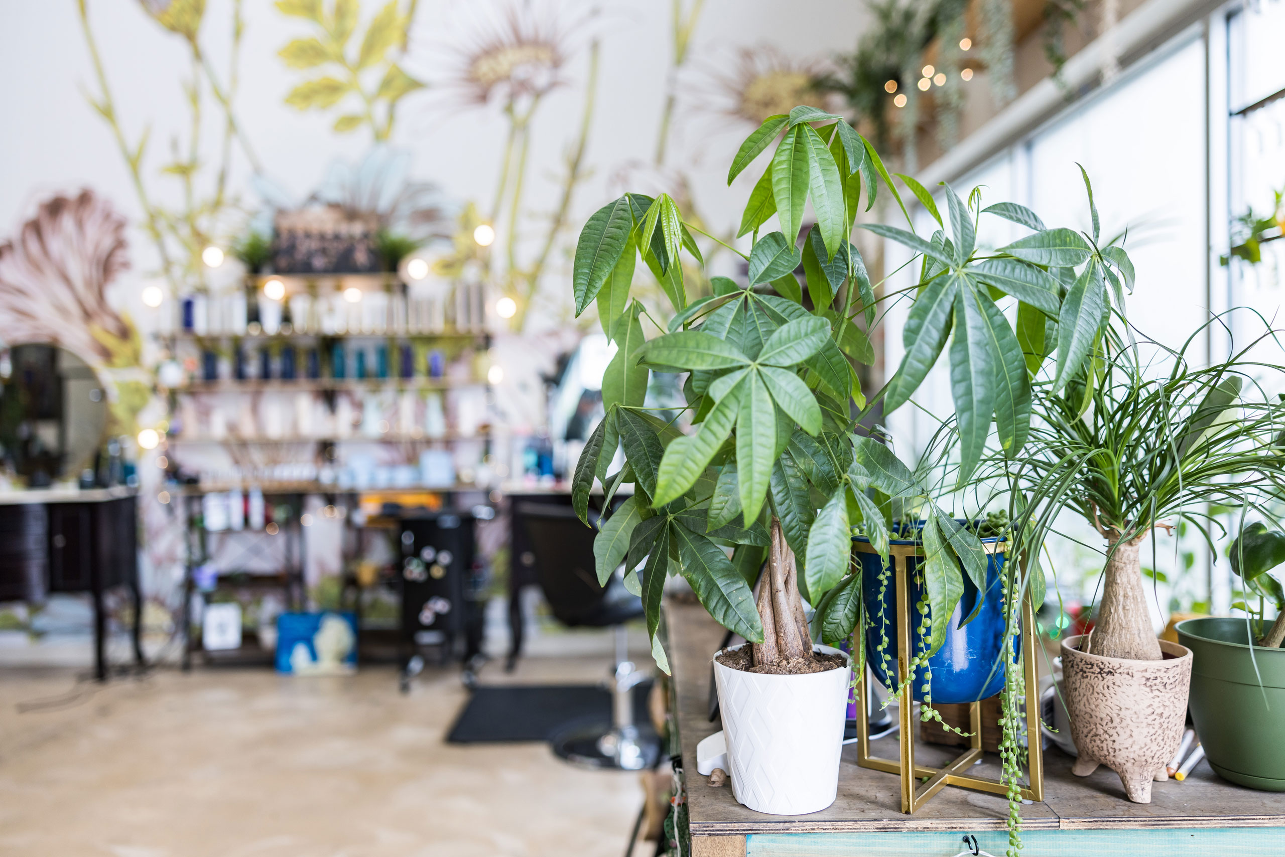 Darling and Dapper Studio in Virginia Beach, VA (2)
