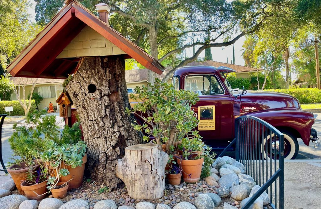 Olive Avenue Market in Redlands, CA (2)