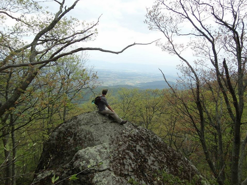 Aron Weisgerber Realtor - Associate Broker in Sperryville, VA (3)