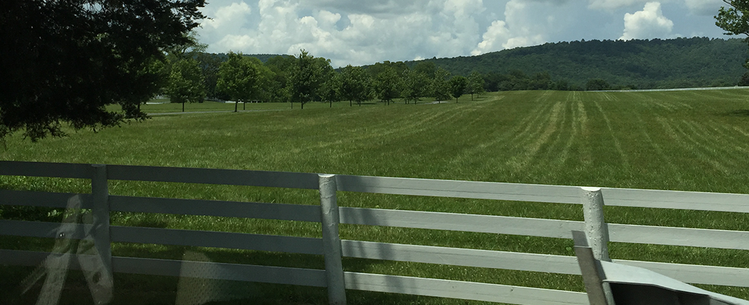 Lisa Taylor, CPA PLLC in Forest, VA (3)