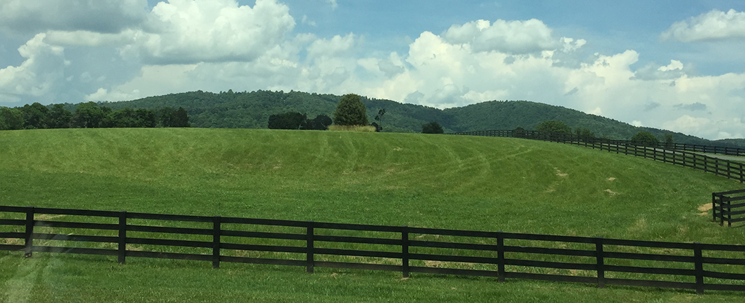 Lisa Taylor, CPA PLLC in Forest, VA (4)