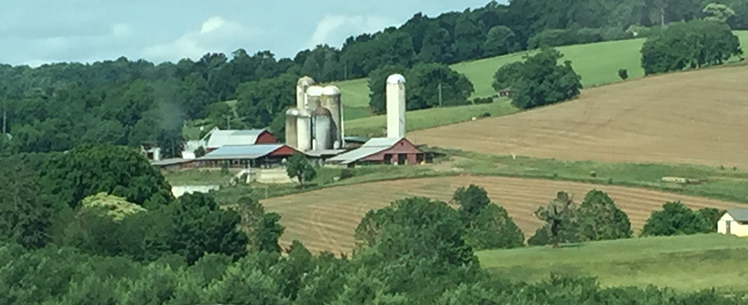 Lisa Taylor, CPA PLLC in Forest, VA (5)