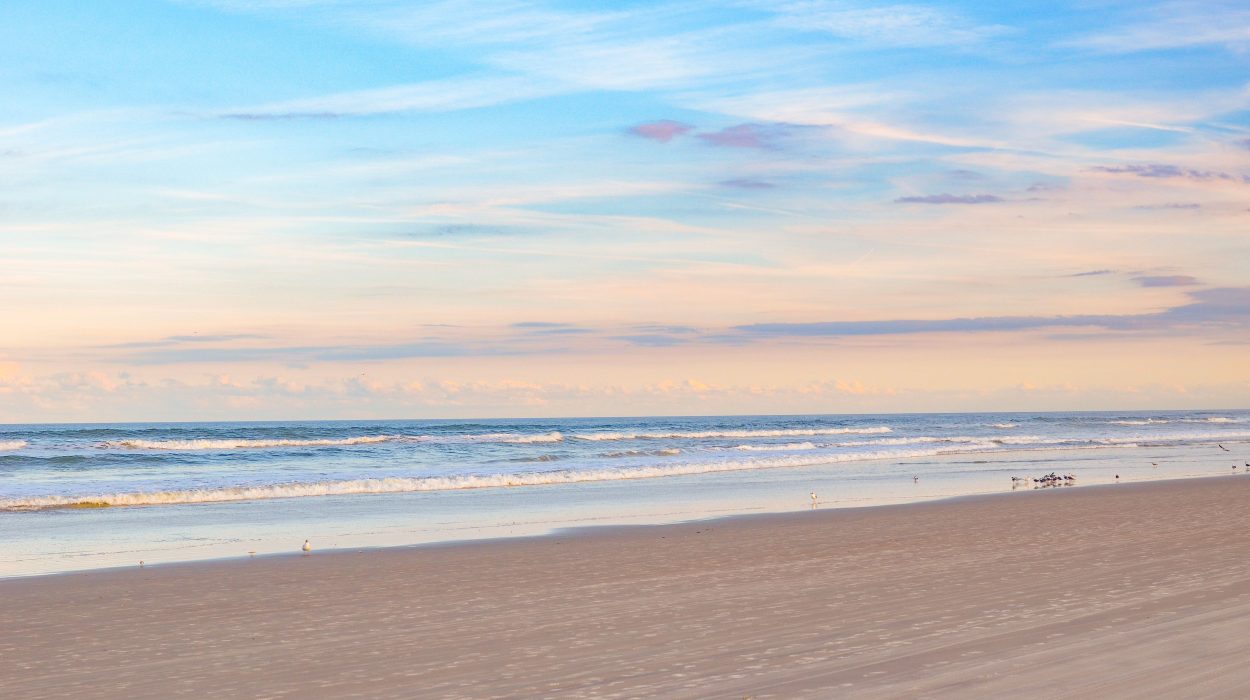 Lambariello Smith & Speed, LLC in Warren, NJ (2)
