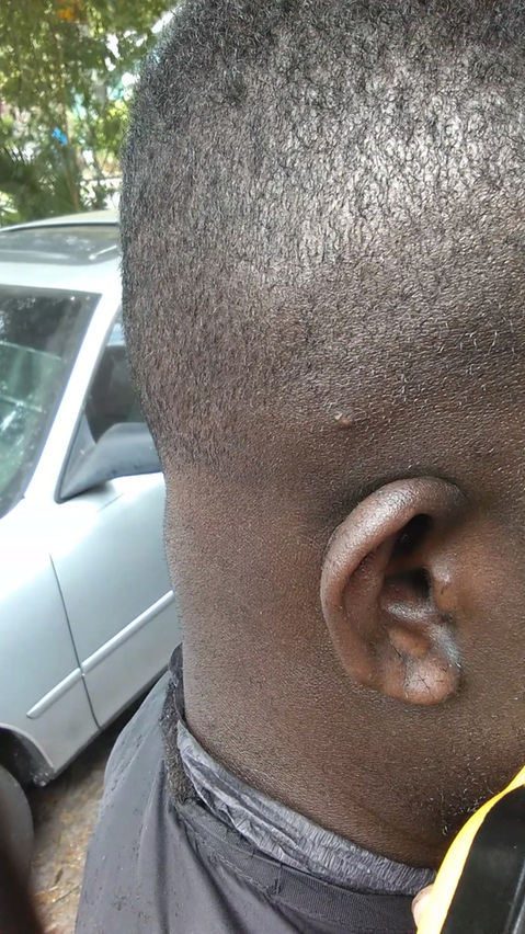 Mobile Cutz- Tampa Bay in Tampa, FL (2)