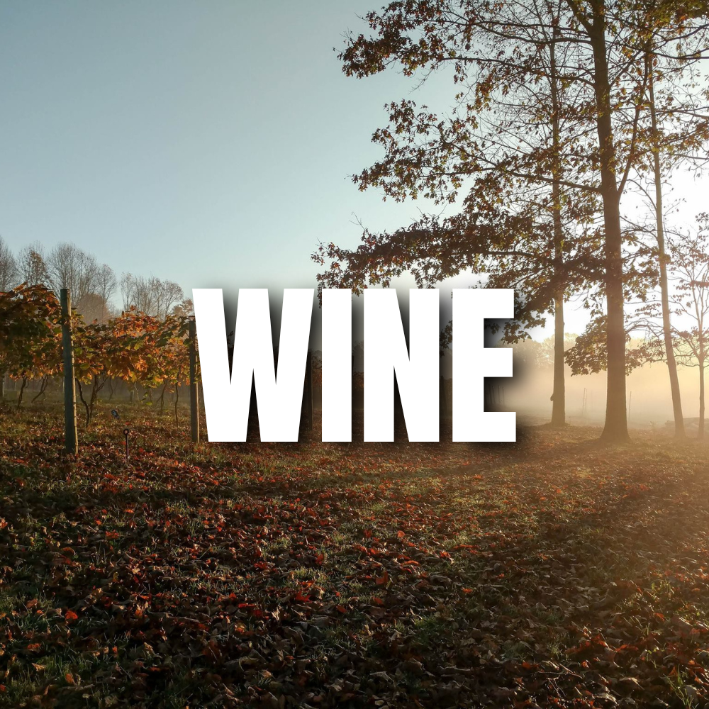 Owen Valley Winery in Spencer, IN