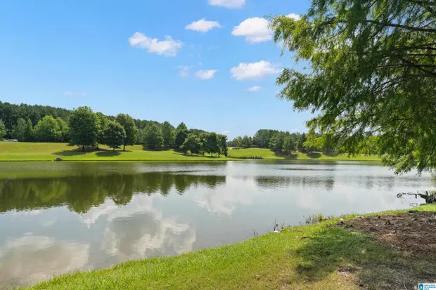 Brenda Blanton and Cruz Blanton - The Blanton Team - EXP Realty in Chelsea, AL