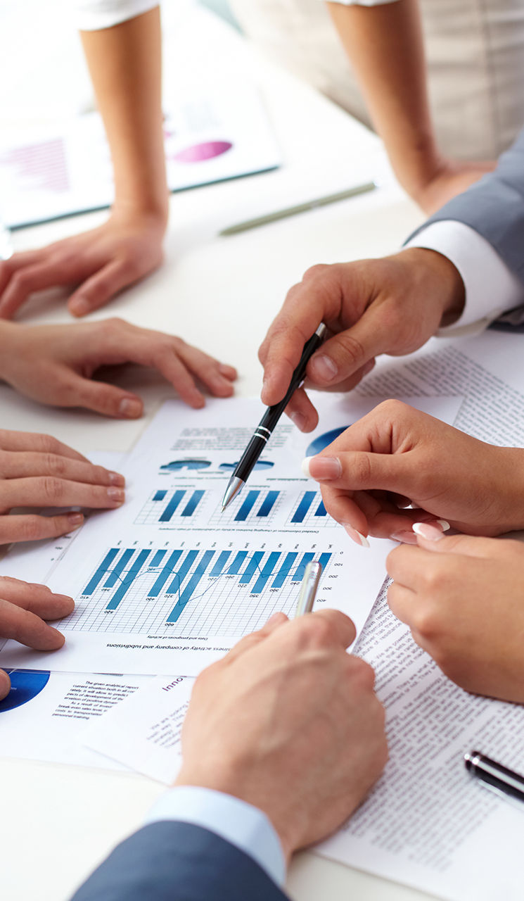 Srejovic Accounting Services in Des Plaines, IL (2)