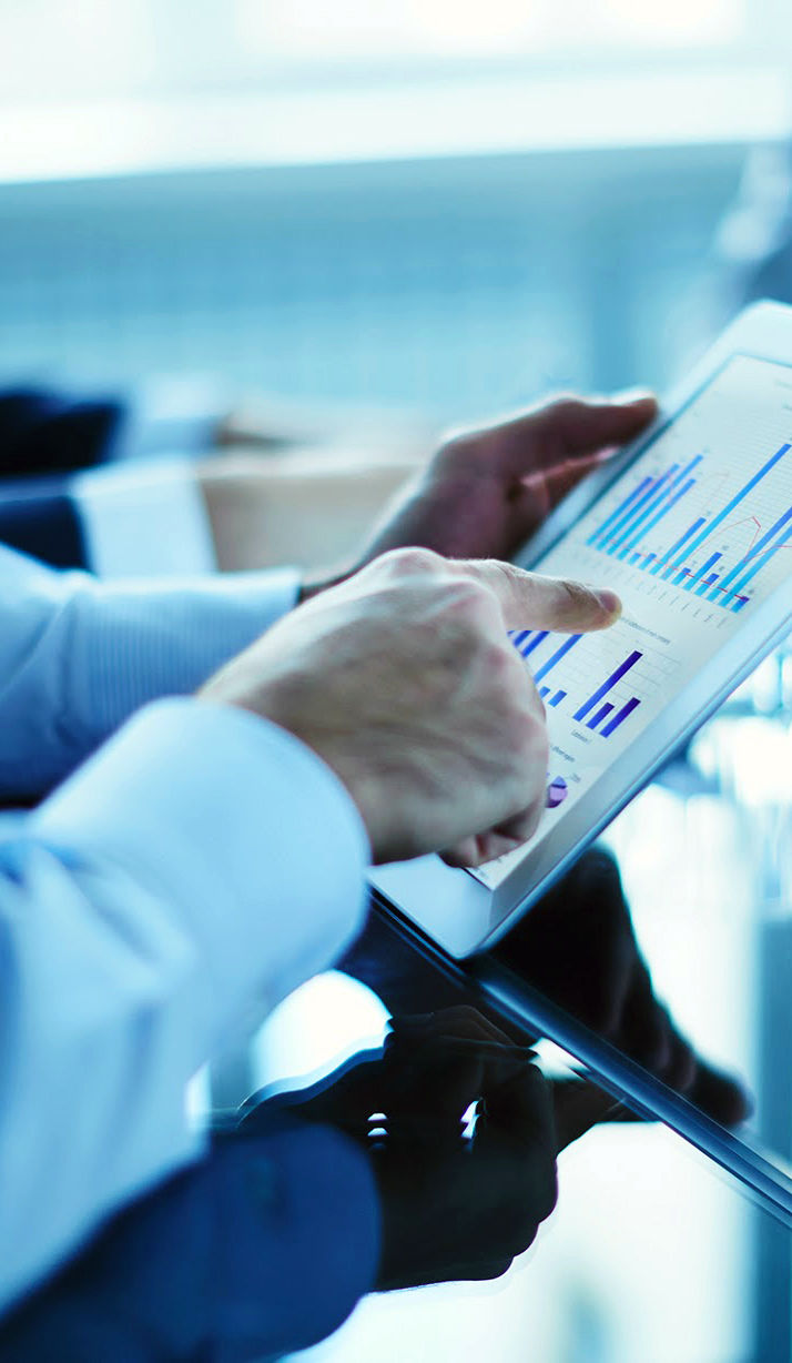 Srejovic Accounting Services in Des Plaines, IL (3)