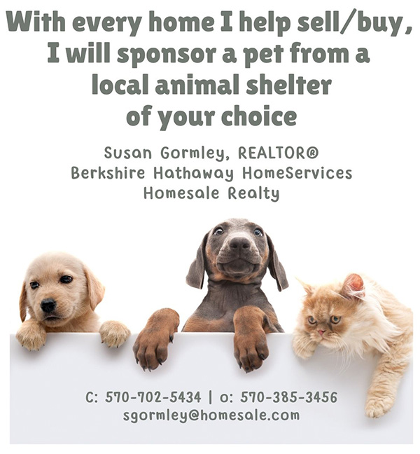 Susan Gormley, Realtor, Berkshire Hathaway HomeServices Homesale (BHHS) Realty - Schuylkill Haven in Schuylkill Haven, PA