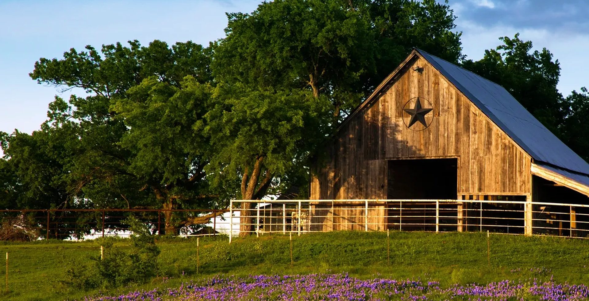 Cleburne Realtor Christi Bradley in Cleburne, TX (2)