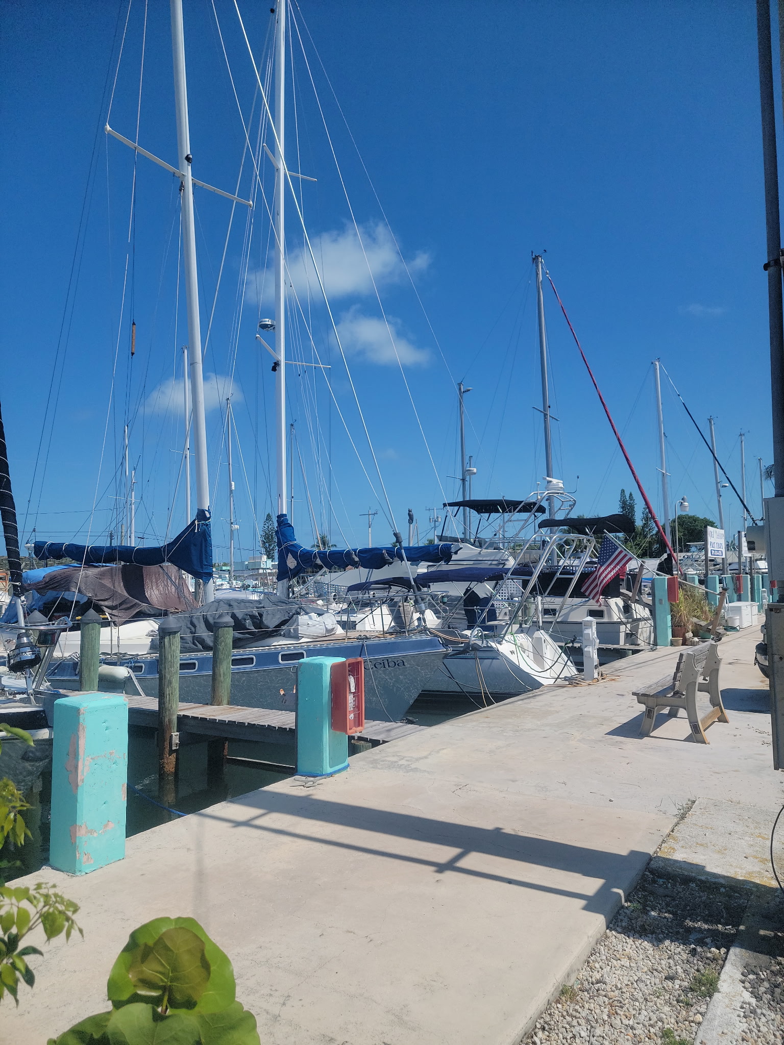 Burdines Waterfront in Marathon, FL (5)