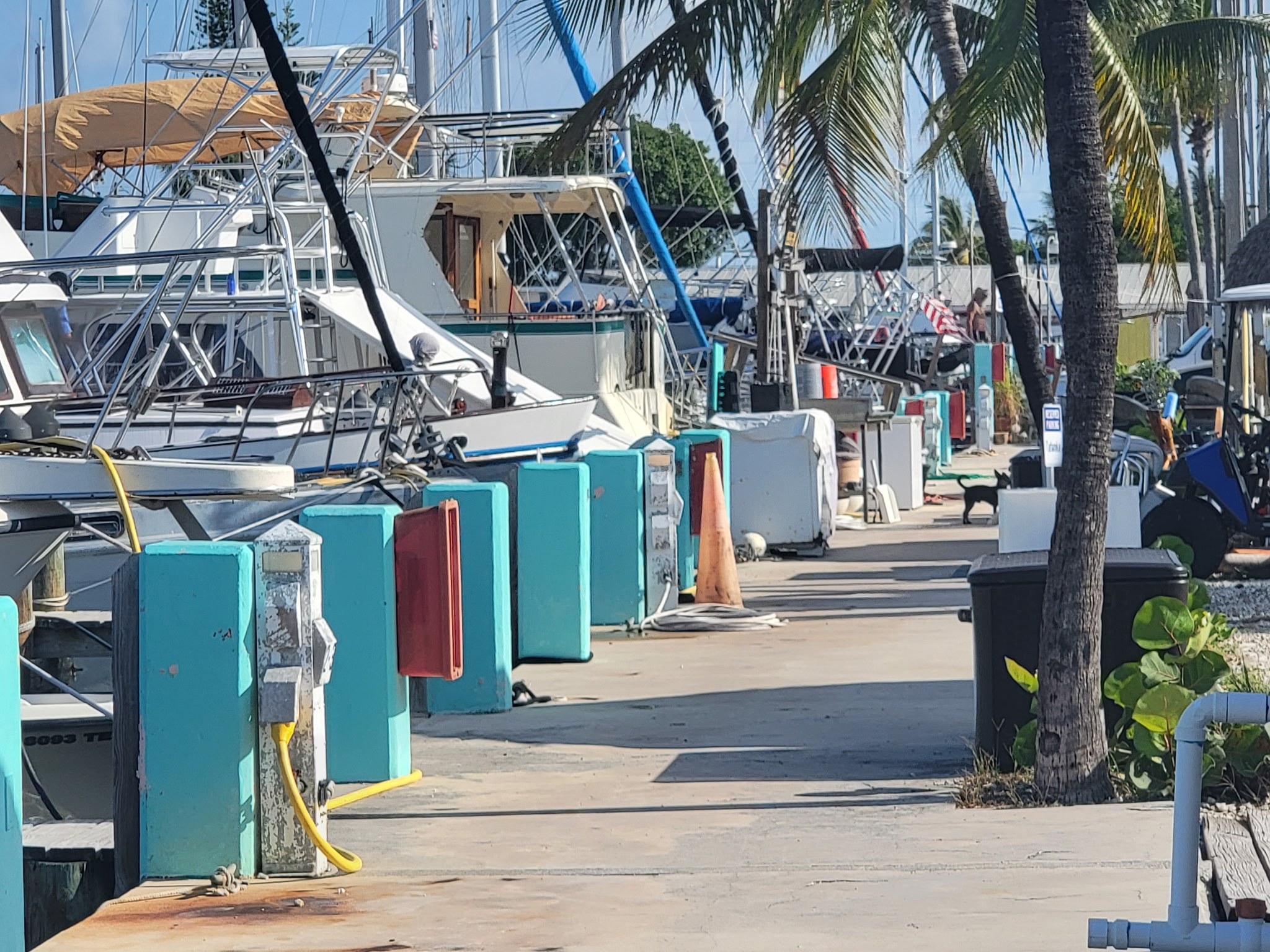 Burdines Waterfront in Marathon, FL (6)