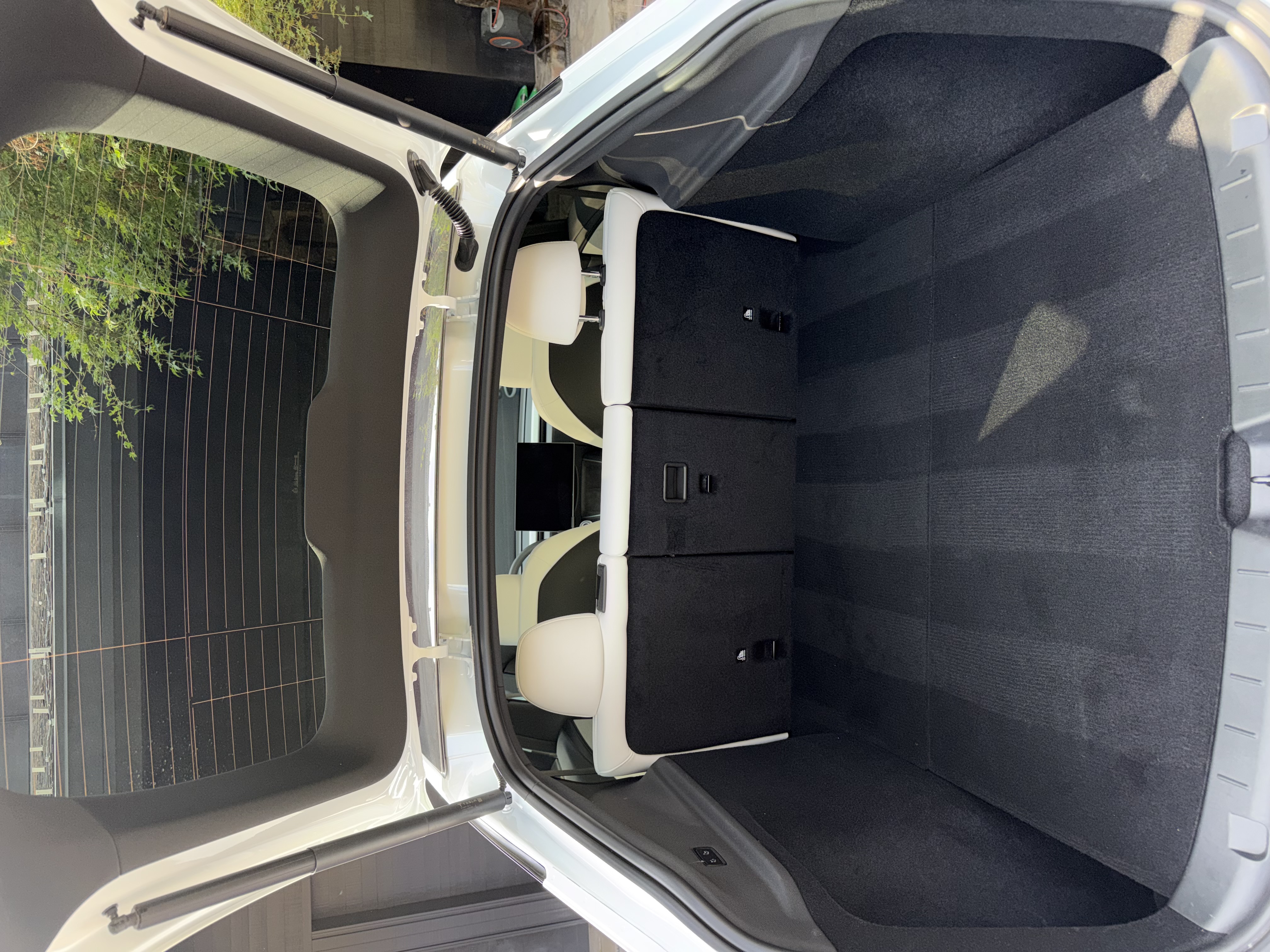 Ascent Mobile Detailing in Holder, FL (3)