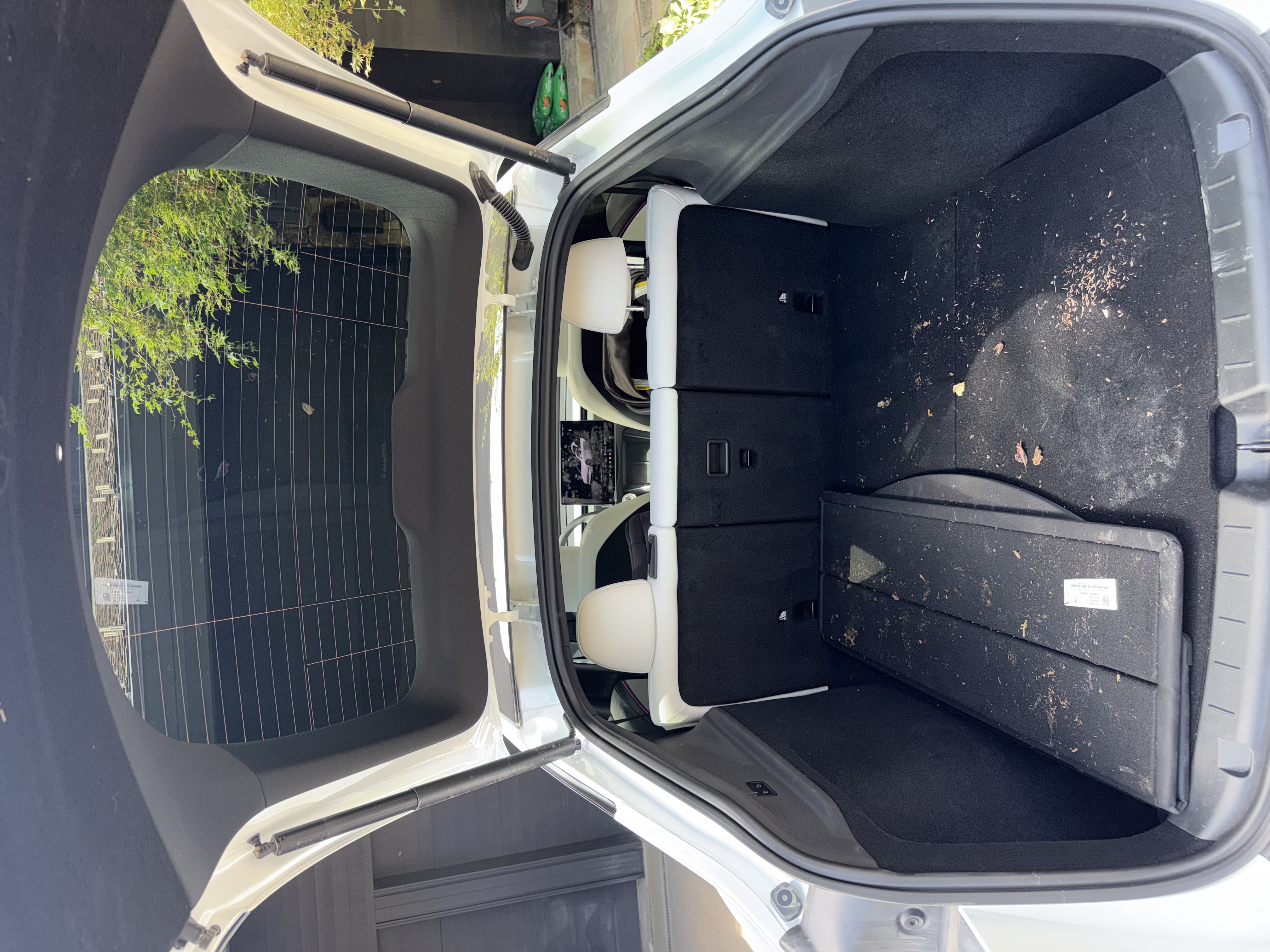 Ascent Mobile Detailing in Holder, FL (4)