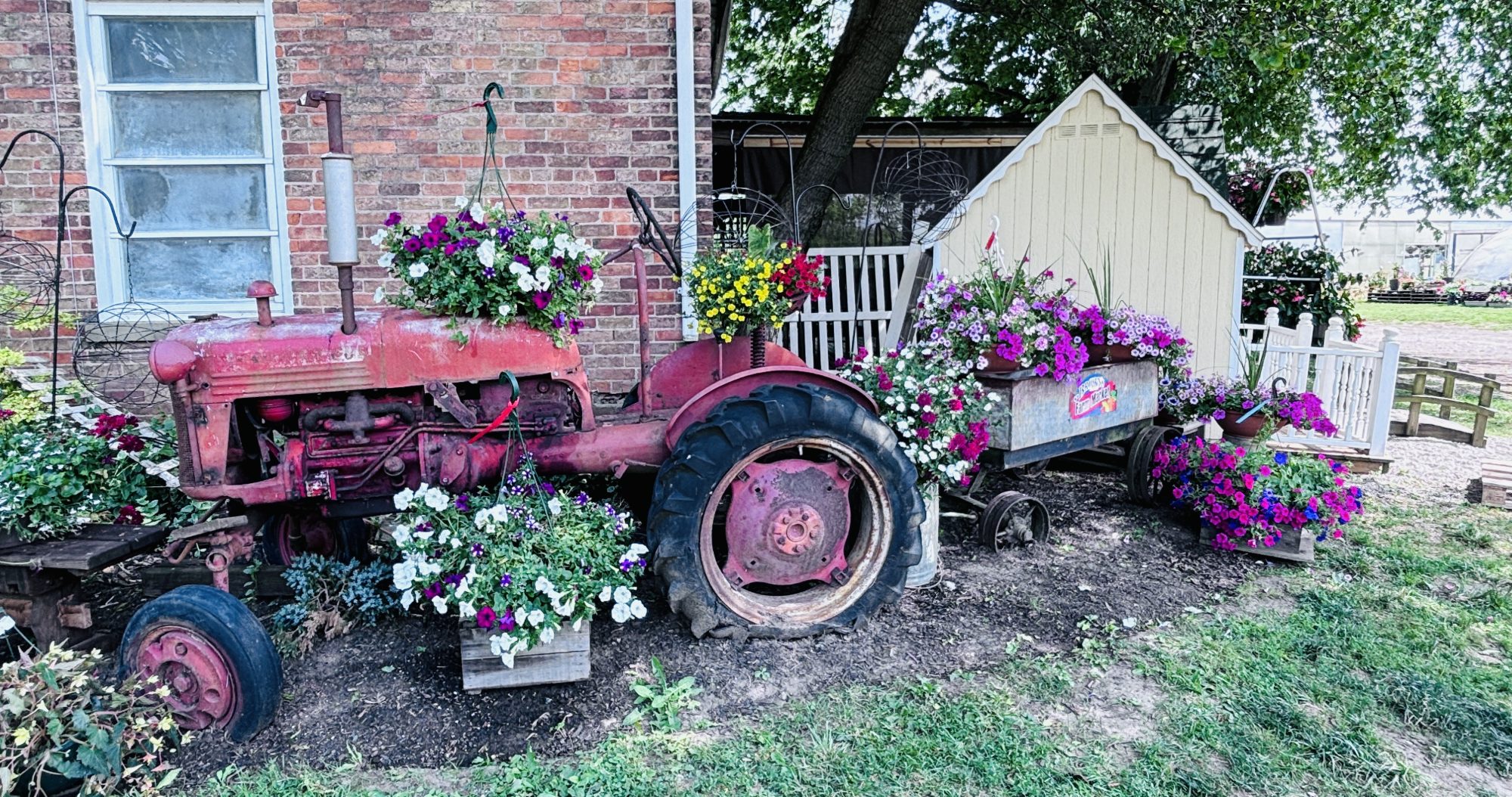 Brown's Family Farm Market in Hamilton, OH (2)