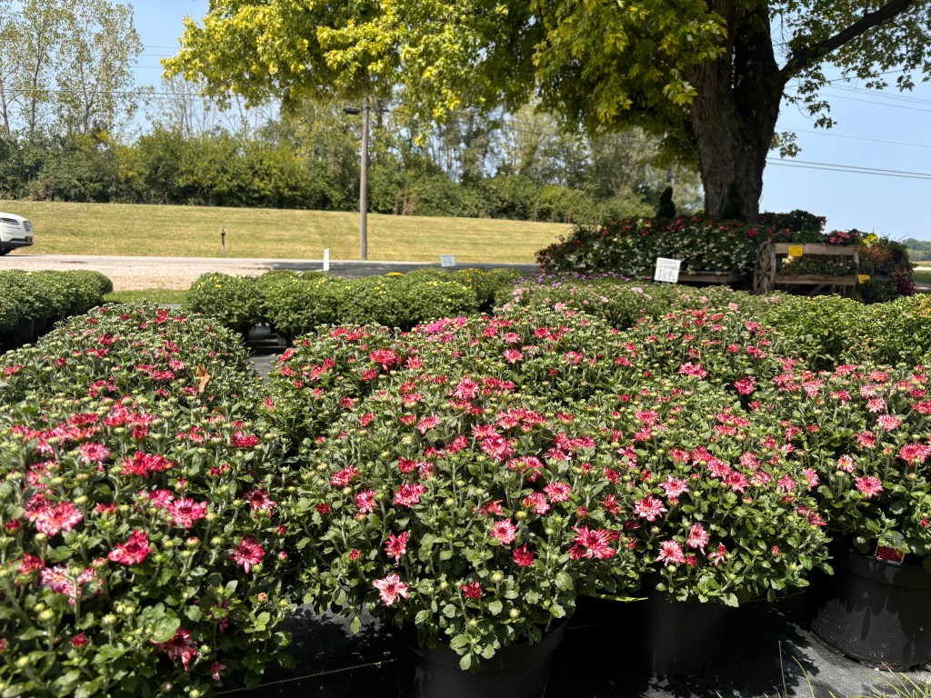 Brown's Family Farm Market in Hamilton, OH (5)