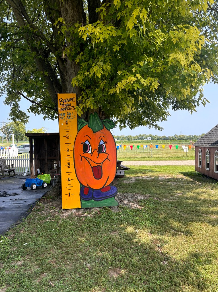 Brown's Family Farm Market in Hamilton, OH (6)