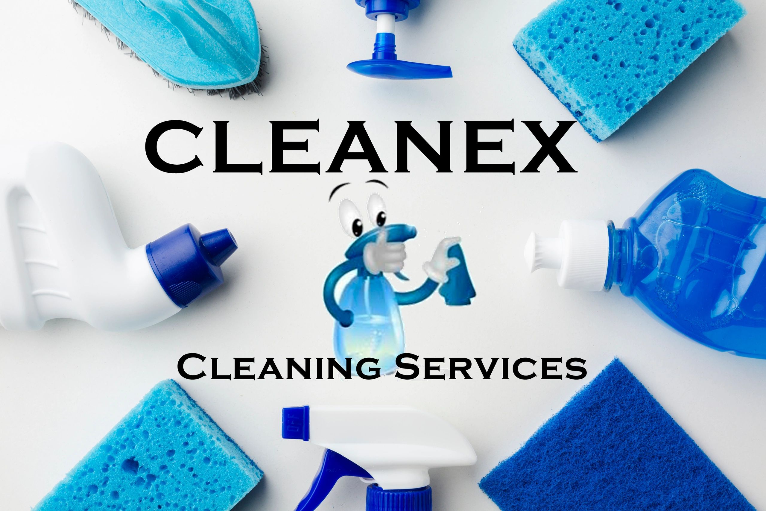 Cleanex Cleaning Services LLC in Orlando, FL