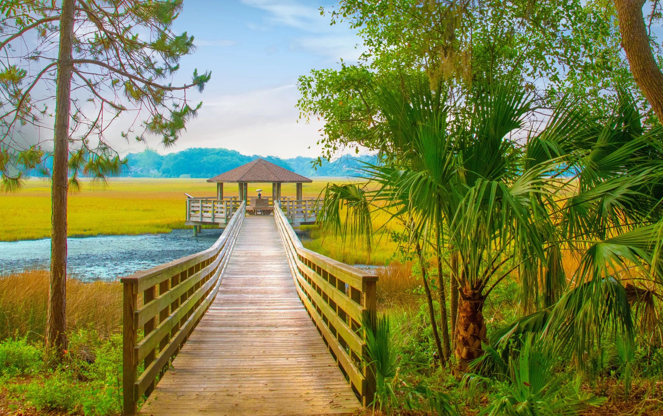 Holly Ann Simpson. Realtor in Moncks Corner, SC