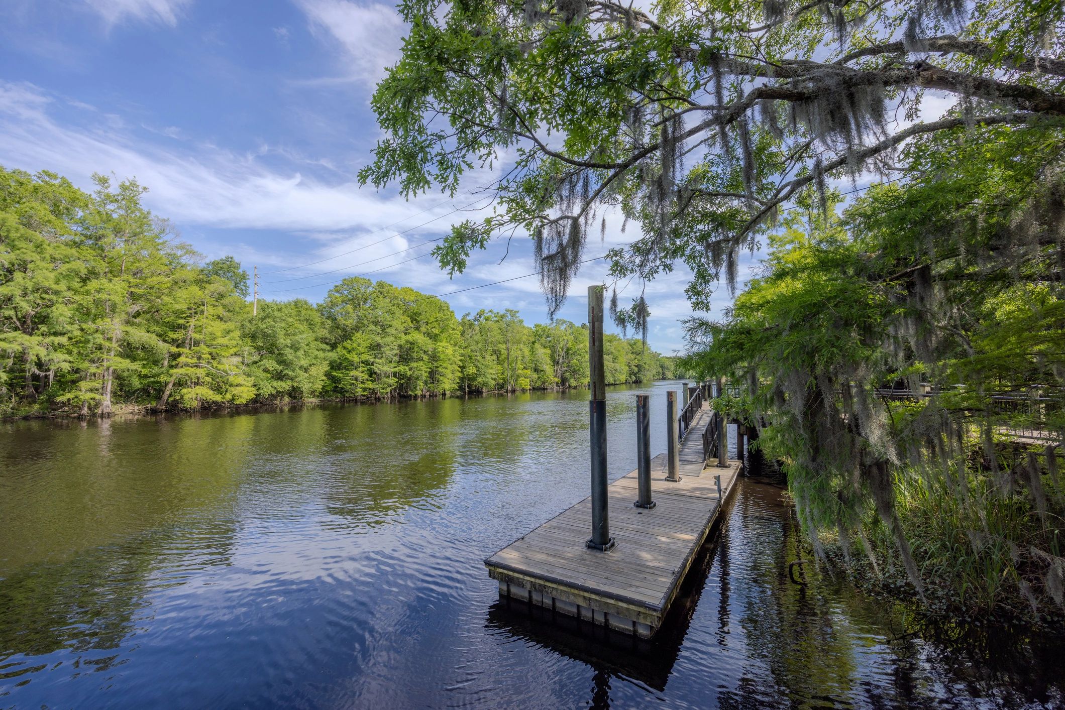 Holly Ann Simpson. Realtor in Moncks Corner, SC (2)