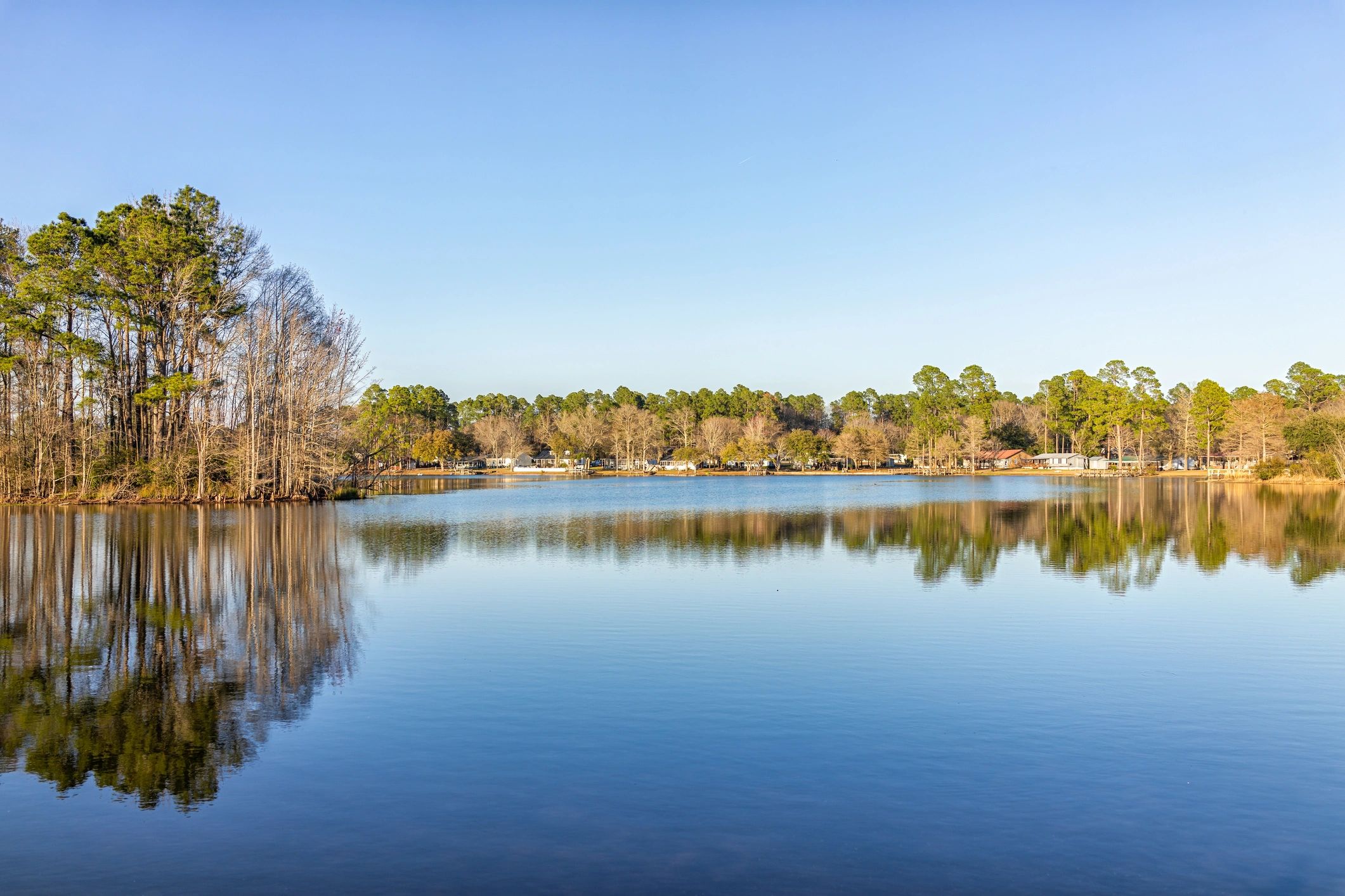 Holly Ann Simpson. Realtor in Moncks Corner, SC (4)