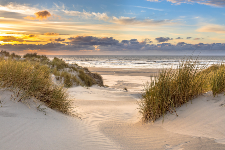 Coastal Life Realty Group in Ocean City, MD (3)