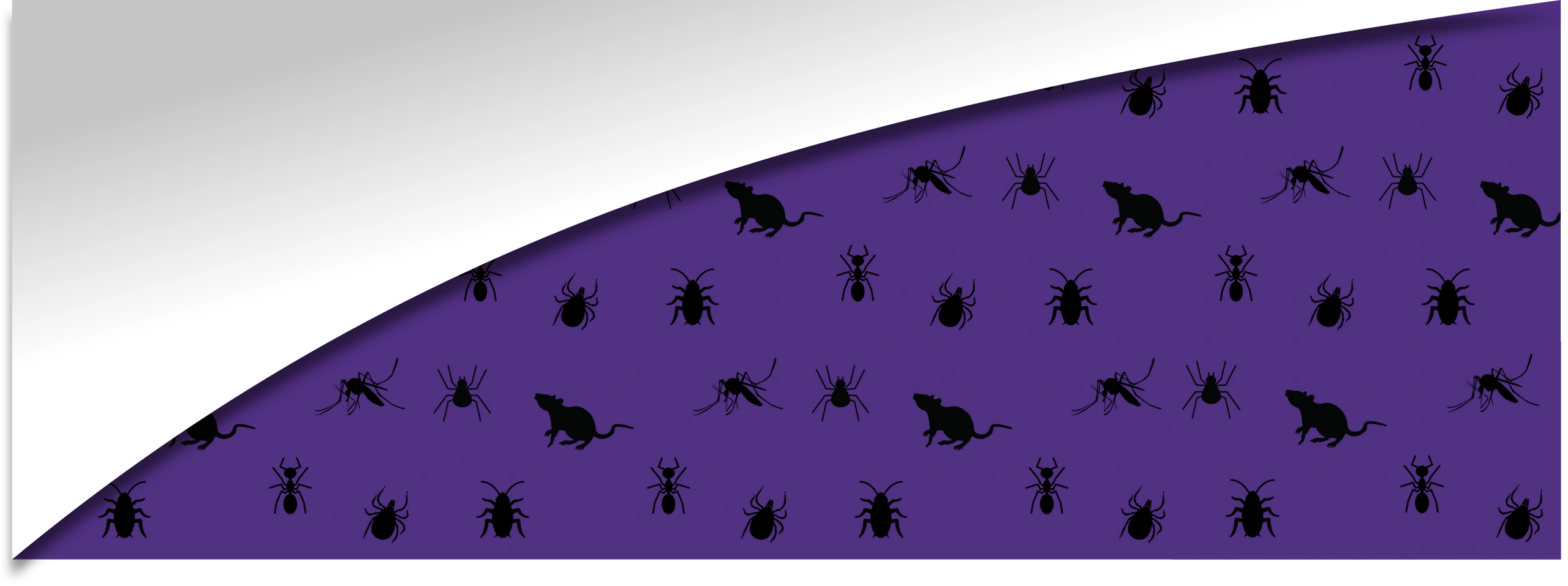 Carey Pest Management in Moreno Valley, CA
