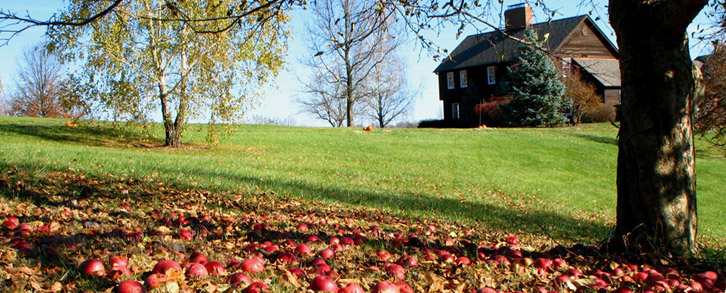 Quitman Realty in Quitman, TX (2)