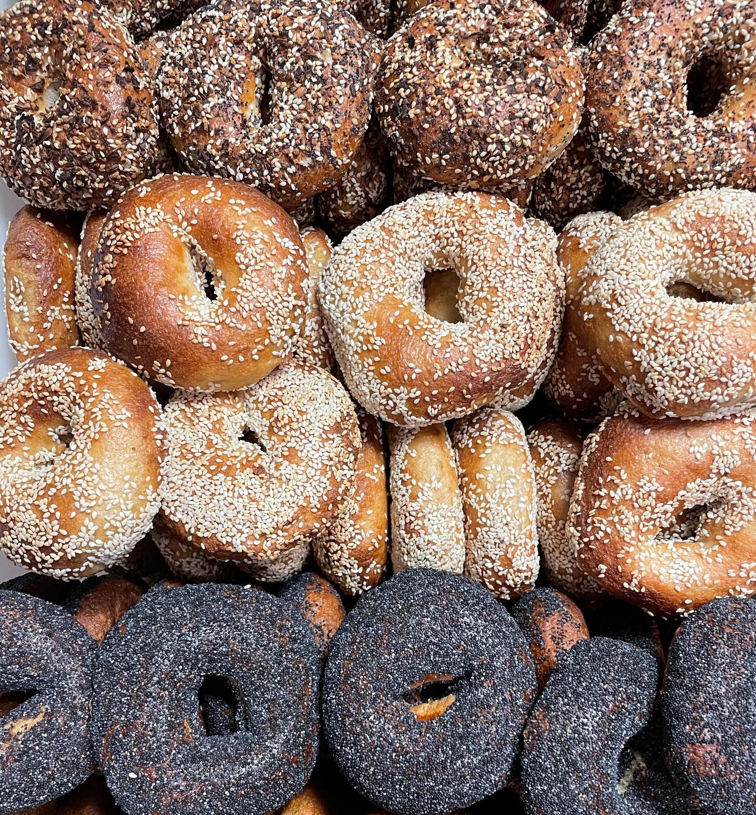 Casper Fermentables - Bagels, Kombucha, Sourdough in Sunset Valley, TX