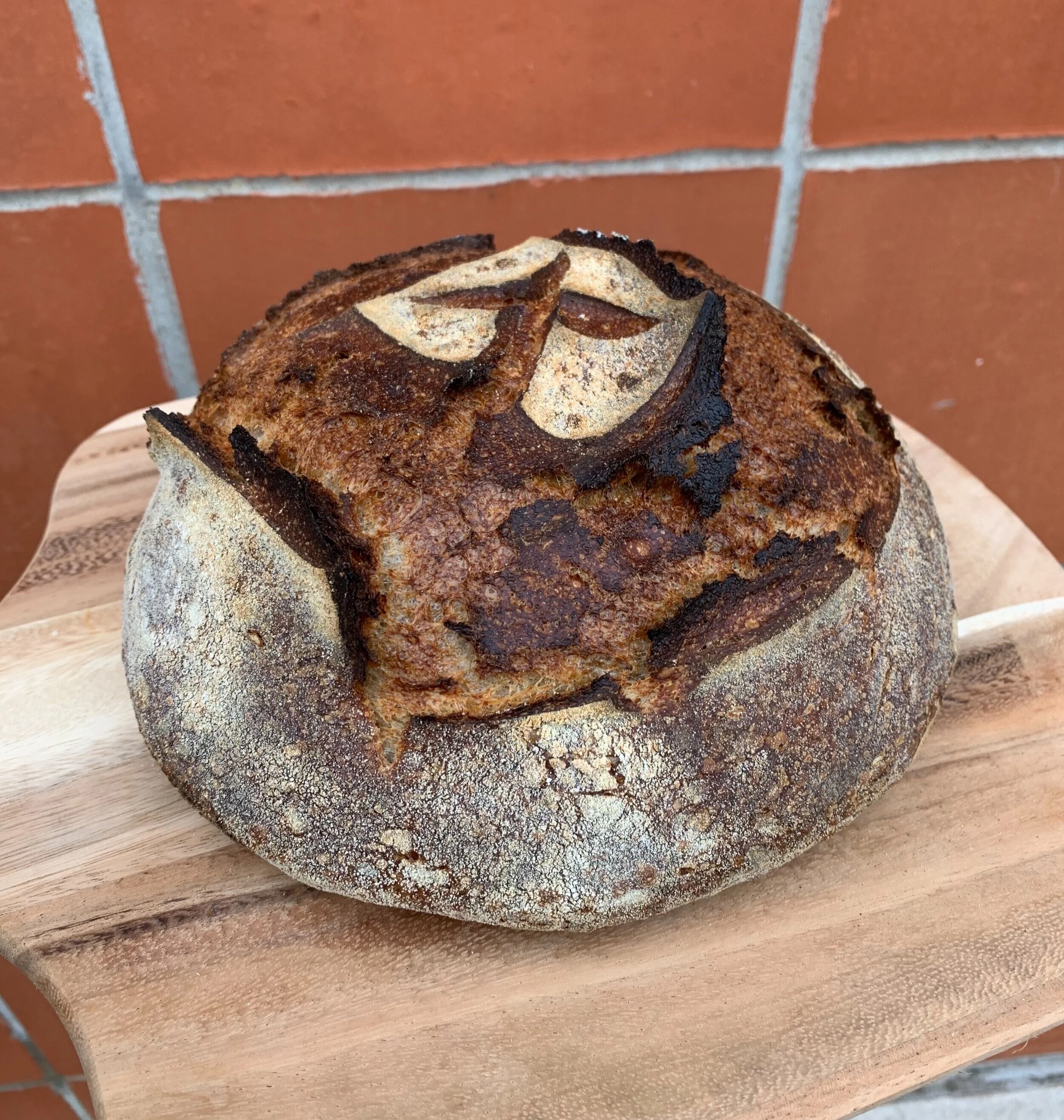 Casper Fermentables - Bagels, Kombucha, Sourdough in Sunset Valley, TX (3)
