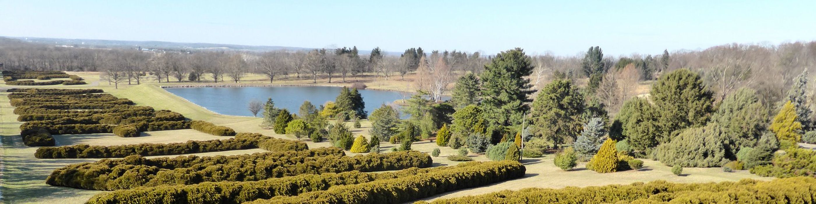 The Gilmore Group - Red 1 Realty in Lithopolis, OH (2)