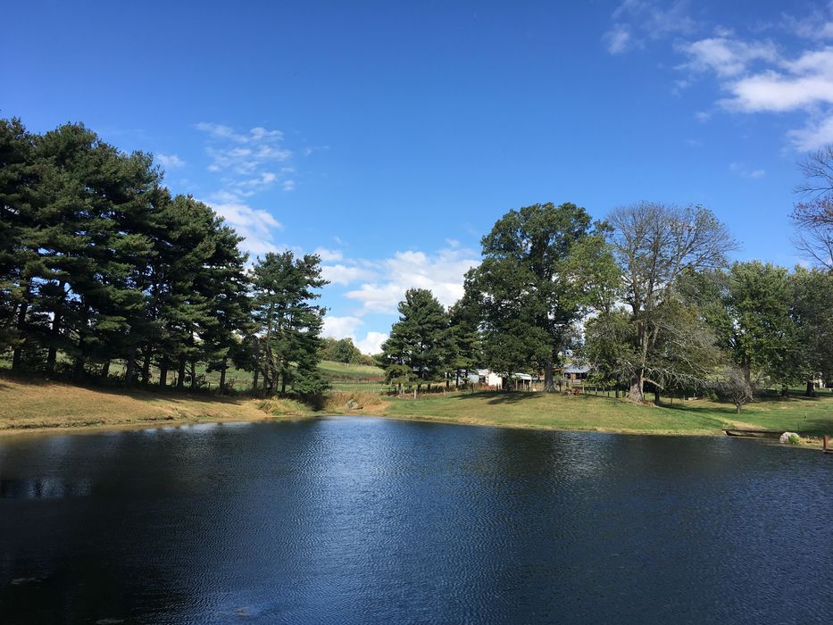 The Gilmore Group - Red 1 Realty in Lithopolis, OH (5)