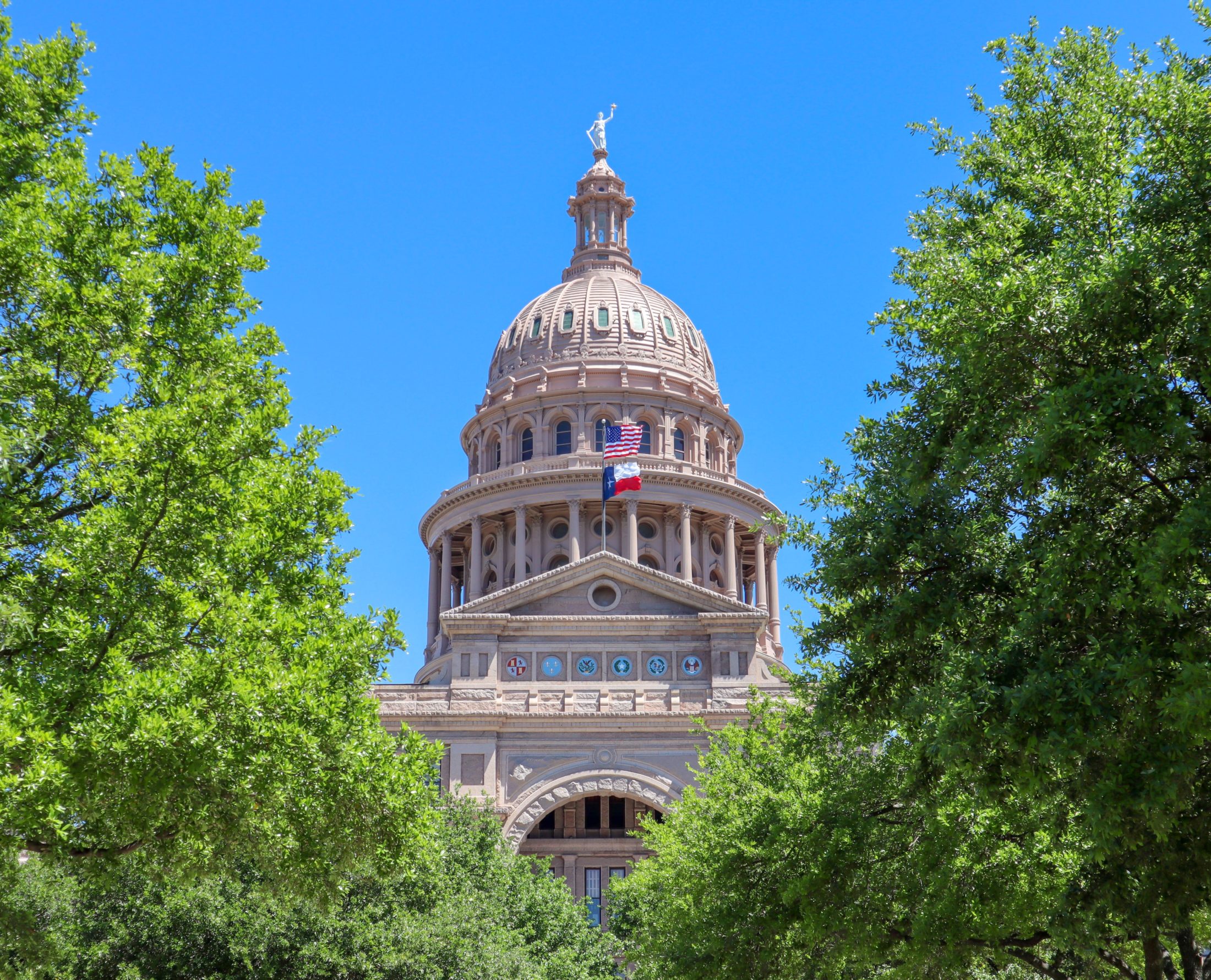 Bret Wallace, Realtor in Sugar Land, TX