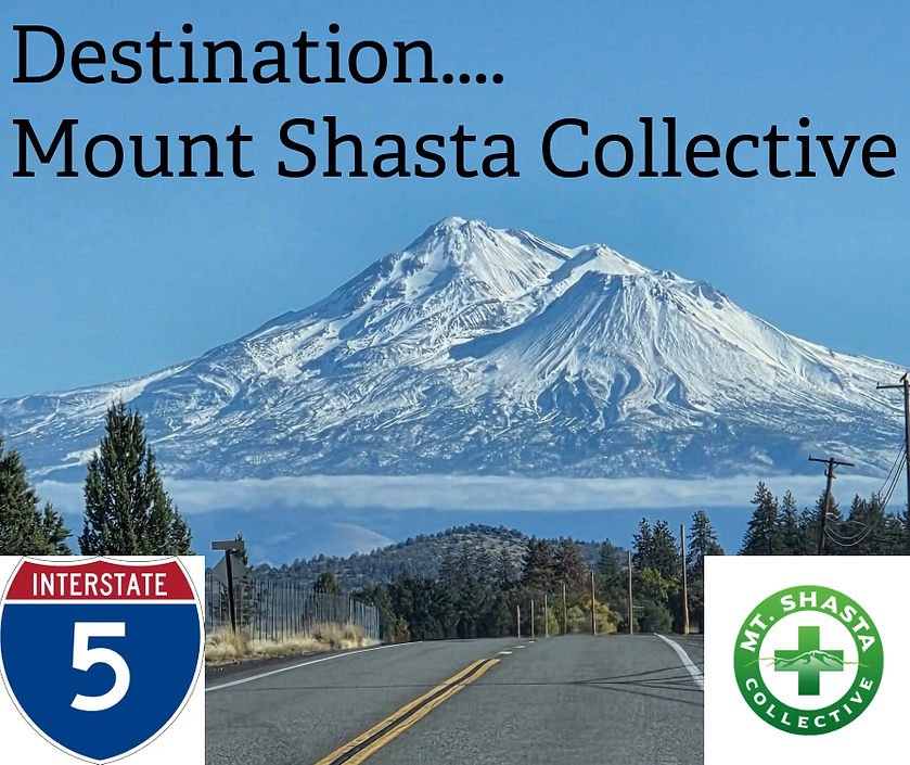 Mount Shasta Collective Dispensary in Mt Shasta, CA