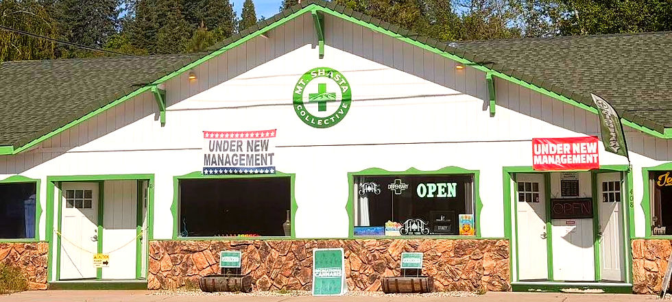 Mount Shasta Collective Dispensary in Mt Shasta, CA (2)